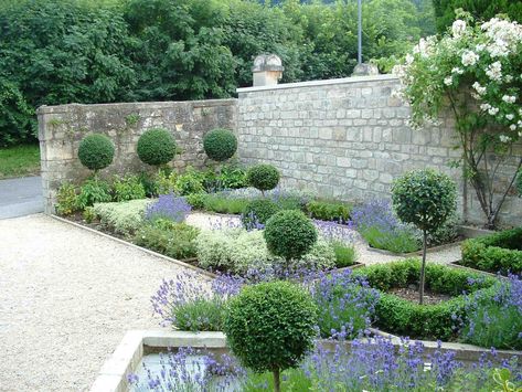 Homestead Garden Layout, Plant Combos, Parterre Garden, Front Lawn Landscaping, Small Front Gardens, Architectural Plants, Box Garden, Front Gardens, Evergreen Garden