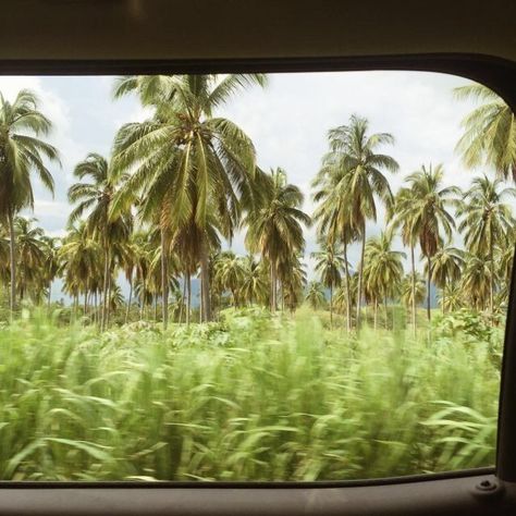 Tropical Island, Summer Breeze, Pretty Places, Island Life, Green Aesthetic, Kauai, Tahiti, The Window, Summer Aesthetic