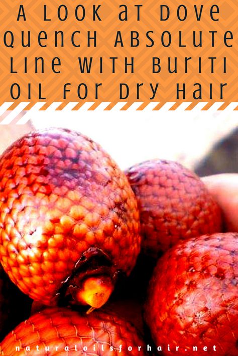 A Look at Dove Quench Absolute Line with Buriti Oil for Dry Hair Oil For Dry Hair, Buriti Oil, Healthy Hair Care, Oil Hair, Texturizer On Natural Hair, Hair Texture, Drop In, Hair Care Tips, Dry Hair