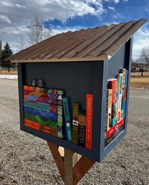 Library Boxes Front Yards Diy, Diy Free Little Library, Free Little Library Ideas, Free Library Box Ideas, Little Free Library Ideas, Free Little Library, Outdoor Library, Little Free Library Plans, Dream Home Library