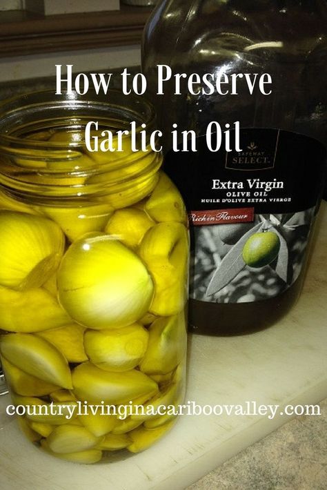 How to preserve Garlic in oil. Usually you can store Garlic in a basket on your counter, but sometimes you have to find another way to keep it. Here is how you can do that! How To Store Fresh Garlic Cloves, How To Preserve Peeled Garlic, Storing Peeled Garlic, Store Garlic Cloves How To, How To Store Peeled Garlic, Storing Garlic Cloves, Preserve Garlic Cloves, How To Store Garlic Long Term, How To Preserve Garlic Cloves