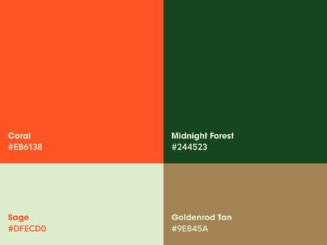 Orange And Green Color Scheme, Green And Orange Colour Palette, Orange Green Color Palette, Green Color Pallet, Logo Shield, Orange Palette, Orange Color Schemes, Orange Color Palettes, Green Color Schemes