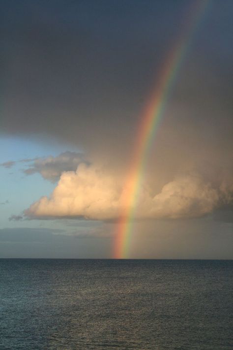 The reality behind rainbows. Rainbow Promise, Rainbow Pictures, End Of The Rainbow, God's Promise, Rainbow Magic, Rainbow Sky, Scenery Pictures, Rainbow Aesthetic, Love Rainbow