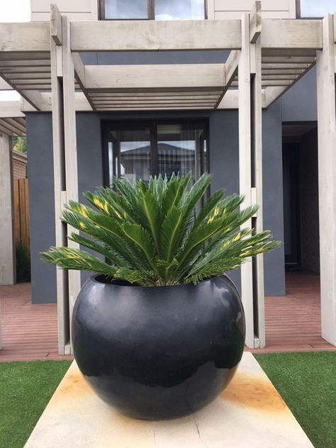 Evie pot planter, black large pot plant for outdoor plants Feature Pot Plants, Black Planters Front Door, Pots Decoration Ideas, Large Outdoor Planter Ideas, Garden Pots Ideas Outdoor Planters, Garden Pots Ideas, Pot Decoration Ideas, Large Garden Pots, Big Pots