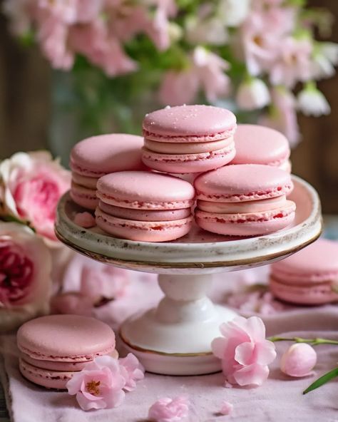 Pink macarons Pink Macarons, Pictures Of Food, Cookie Pictures, Princess Parties, Macaroon Recipes, Pink Foods, Painting Accessories, Dessert Cupcakes, Food Images