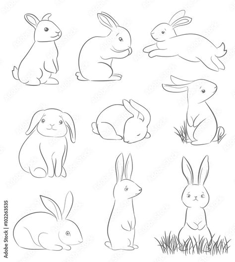 Rabbit Cartoon Drawing, Rabbit Drawing, Bunny Drawing, Line Art Vector, Animal Doodles, Rabbit Art, Bunny Art, Rabbit Cartoon, Cute Cartoon Drawings