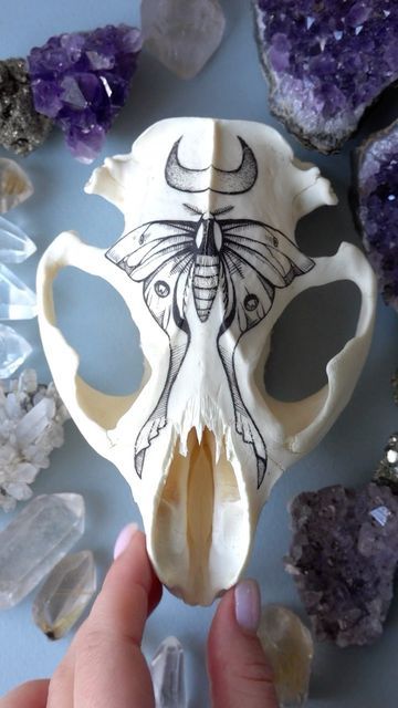 Painting On Bones, Painted Skull Ideas, Animal Skull Decor, Painting Skull, Carved Skulls, Skull Ideas, Types Of Bones, Pyrography Designs, Fox Skull