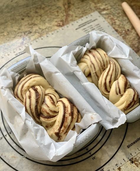 Proofing loaves of sourdough cinnamon sugar babka Sourdough Leaven, Cinnamon Sugar Sourdough, Sourdough Babka, Cinnamon Sugar Bread, Cinnamon Babka, Baking Sourdough Bread, Babka Bread, Everything Sourdough, Using Sourdough Starter