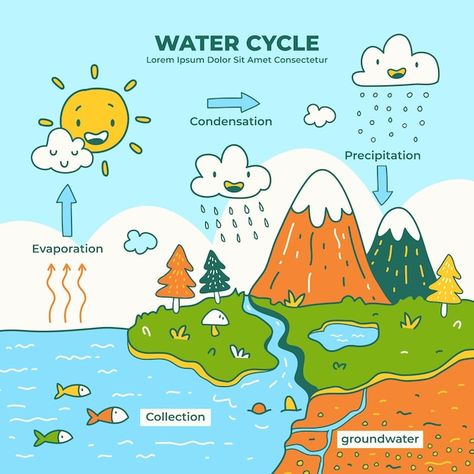 Hand drawn water cycle | Premium Vector #Freepik #vector #evaporation #water-cycle #rain-cloud #illustrations Hydrological Cycle Drawing, Water Cycle Diagram Drawing, Water Cycle Diagram Science, Water Cycle Poster Ideas, Watercycle Kids Drawing, Watercycle Kids Project Model, Water Cycle Poster Project For Kids, Watercycle Kids Project, Importance Of Water For Kids