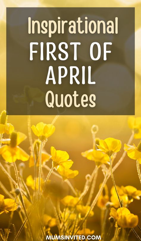 Explore our Welcome April Quotes for a refreshing blend of inspirational, aesthetic, and even funny quotes to bid goodbye to April and kickstart the new month with motivation and positivity. From delightful hello April greetings to heartfelt happy new month wishes, each quote will uplift your spirit. Enjoy a variety of letterboard quotes perfect for your 1st April celebrations or to mark your special birthday month if you're born in April. Welcome April Quotes, April Greetings, Hello April Quotes, Happy New Month Wishes, Hello March Quotes, Hello Spring Quotes, Hello May Quotes, Springtime Quotes, Welcome April