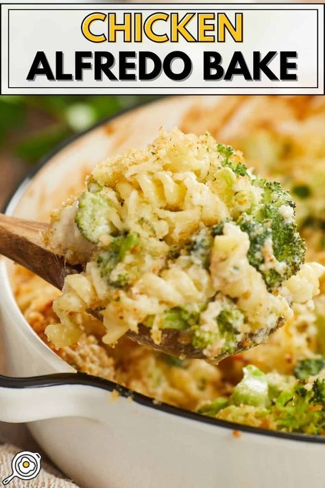 Chicken Alfredo Bake Easy Chicken Alfredo Bake, Alfredo Bake Recipe, Chicken Alfredo Bake Recipe, Bites Ideas, Easy Chicken Alfredo, Budget Bites, Budget Dinner Recipes, Alfredo Bake, Pasta Bakes