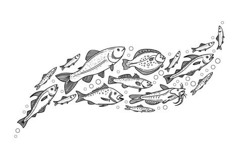 Fish wave composition. Decorative flock of fish. Vector illustration of school of fish School Of Fish Illustration, School Of Fish Drawing, School Of Fish Tattoo, Fish Composition, Ocean Warrior, Fish Doodle, Warrior Illustration, Marine Tattoo, Shoal Of Fish