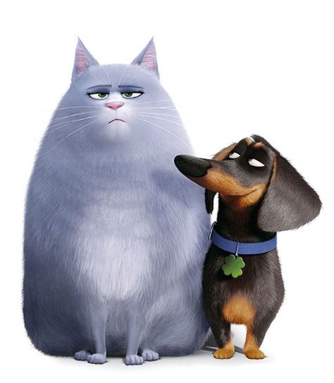 Buddy and Chloe from one of my all time favourite animated films, The Secret Life Of Pets! :D I love Chloe's grumpy expression! XD Pets Movie, Disney Cats, Cute Little Kittens, Secret Life Of Pets, Pet Fish, Cat Character, Dachshund Love, Pet Life, Sweet Animals