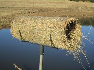 Duck Nesting Box Ideas, Duck Nesting Boxes, Goose Blind, Duck House Diy, Duck Habitat, Duck Nesting, Wood Duck House, Duck Blinds, Building Bird Houses