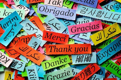 How Many Languages are there in the World 2023 // THIS Will Surprise You Interview Thank You Email, Interview Thank You, Spanish Expressions, Thank You Email, Learning A Second Language, Italian Phrases, Thank You Friend, Coran Islam, French Phrases