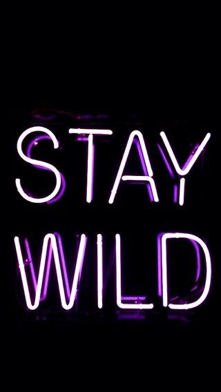 Plain Wallpaper Iphone Purple, Lighting Quotes, Wallpaper Iphone Purple, Pink Unicorn Wallpaper, Iphone Purple, Plain Wallpaper Iphone, Neon Quotes, Light Quotes, Wallpaper Iphone Neon