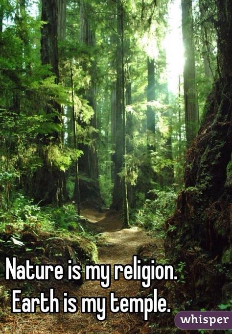 "Nature is my religion. Earth is my temple. " Forest Quotes, Ariana Grande Victorious, Adventure Core, Nature Goddess, Spiritual Retreat, Energy Healing Spirituality, Get Outdoors, Spiritual Wisdom, Change Is Good