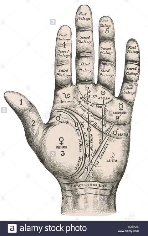 A palmistry map of the hand, labelling the different areas.         Date: circa 1890 Stock Photo Palm Reading Charts, Supernatural Gifts, Palmistry Hand, Reading Charts, Esoteric Art, Palm Reading, Occult Art, Sign Language, Unframed Art