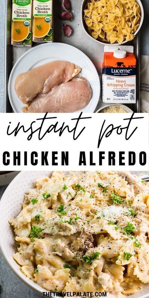 Instant Pot Chicken Alfredo, Pasta And Chicken, Recipes Instapot, Instant Pot Pasta Recipe, Sauce Pasta, Best Instant Pot Recipe, Instant Pot Recipes Chicken, Easy Instant Pot Recipes, Instant Pot Dinner Recipes