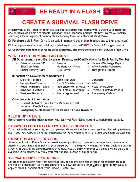 BeReadyInAFlash-Survival Flash Drive Emergency Preparedness Binder, Family Emergency Binder, Survival Skills Emergency Preparedness, Estate Planning Checklist, Emergency Binder, Emergency Prepardness, Emergency Preparedness Kit, Family Emergency, Emergency Preparation