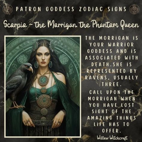 Scorpio - The Morrigan, The Phantom Queen Willow Witchcraft The Morrigan, Zodiac Wheel, Pisces Girl, Zodiac Elements, Green Witchcraft, Scorpio Zodiac Facts, Celtic Goddess, Magic Spell Book, Owl Eyes