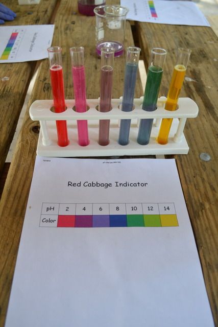 Acids And Bases, Middle School Chemistry, Chemistry Activities, Organic Chemistry Study, Chemistry Basics, Chemistry Education, Chemistry Classroom, High School Chemistry, Chemistry Labs