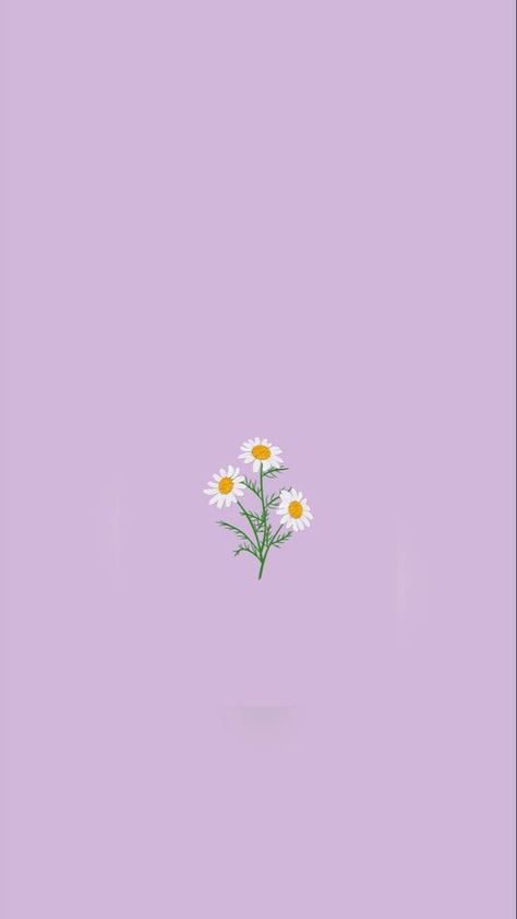 Purple Daisy Wallpaper Iphone, Daisy Background, Pink Blossom Tree, Baby Blue Wallpaper, Daisy Wallpaper, Color Wallpaper Iphone, 1080p Anime Wallpaper, Wallpaper Doodle, Simple Phone Wallpapers