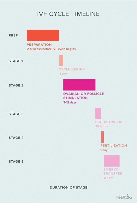 Ivf Calendar, Ivf Timeline, Ivf Egg Retrieval, Ivf Preparation, Fertility Nurse, Ivf Diet, Ivf Pregnancy Announcement, Trouble Getting Pregnant, Fertility Help