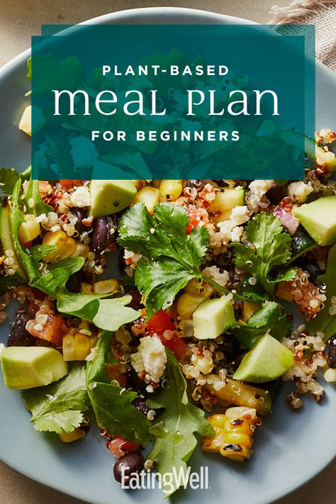 Plant Based Lunch Ideas, Plant Based Meal Plan, Plant Based Meals, Plant Based Diet Meals, Plant Based Meal, Plant Based Diet Meal Plan, Plant Based Meal Planning, Meal Plan For Beginners, Vegetarian Ideas