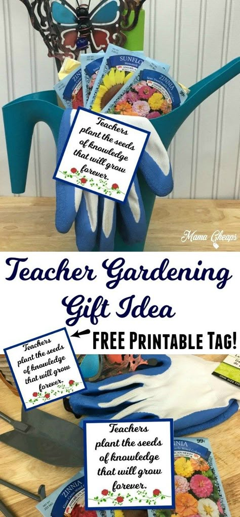 Gardening Teacher Gift + FREE Printable Tag | Teacher Appreciation Gardening Teacher Gifts, Classroom Parent, High Funny, Teacher Presents, Appreciation Gifts Diy, Teacher Appreciation Gifts Diy, Teachers Appreciation, Easy Gardening, Secret Pal