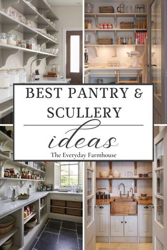 Butlers Pantry With Glass Doors, Farmhouse Kitchen Pantry Cabinet, Butlers Pantry U Shape, Pantry Party Ideas, Scullery Storage Ideas, Modern Farmhouse Kitchen Pantry, Hallway Butlers Pantry Ideas, Luxury Pantry Walk In Dream Homes, Butlers Pantry With Freezer