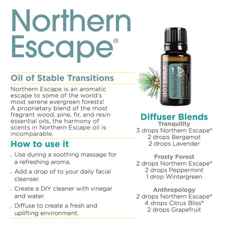 Doterra Oils Recipes, Lavender Uses, Doterra Diffuser, Doterra Diffuser Blends, Evergreen Forest, Mountain Ranges, Doterra Oils, Diffuser Blends, Oil Recipes