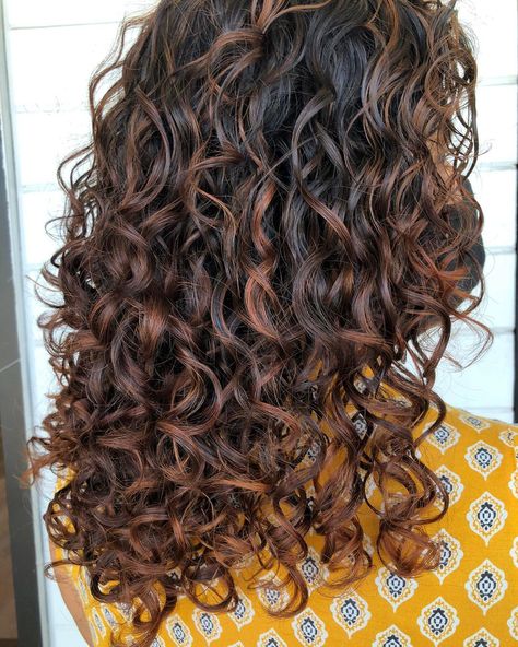 @salonskanda shared a photo on Instagram: “Fall inspired curls for the season change🍁🍂 Can you believe it’s really here y’all?! That means it’s time for all the warm tones and hot…” • Sep 24, 2020 at 5:35pm UTC Cinnamon Highlights Curly Hair, Sunkissed Hair Brunette Dark Curly, Curly Hair Partial Highlights, Partial Pintura Highlights Curly, Curly Hair Carmel Lights, Colored Curly Hair, Balayage Brunette, Natural Curls, Curled Hairstyles