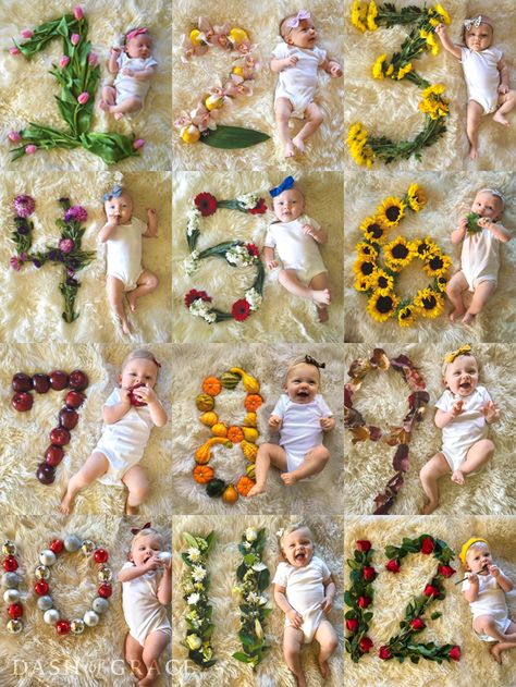 Quinn Newman's Swan Themed Birthday Baby Collage, Monthly Pictures, Monthly Baby Pictures, Monthly Baby Photos, Milestone Pictures, Flowers Birthday, Birthday Boys, Foto Baby, Foto Tips