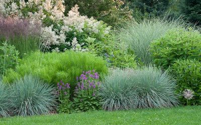 semi-circular border with Persicaria, blue oat grass, Stachys officinalis and a silly-looking puff-ball Allium christophii (self sown, front right) Stachys Officinalis, Allium Christophii, Blue Oat Grass, Border Garden, Backyard Ideas For Small Yards, Prairie Garden, Grasses Landscaping, Grasses Garden, Plants And Flowers