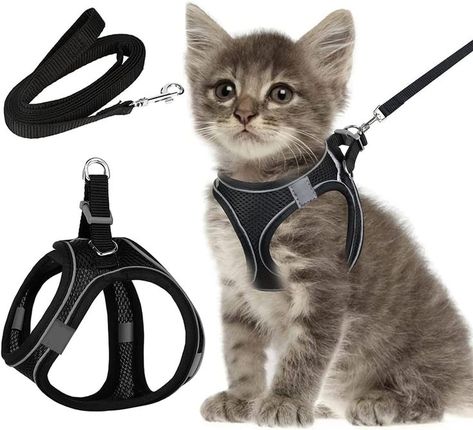 Harnais Chat Anti évasion,Laisse Chat,Laisse Harnais Chaton Réglable,Colliers,Harnais et Laisses pour Chats,Laisse pour Chat,Arnet pour Chat,Harnais pour Chat Petit Chien Lapin (Noir,XXS) Cats Walking, Harness And Leash Set, Soft Vest, Cat Leash, Dog Vest Harness, Vest Style, Cat Harness, Dog Vest, Pet Harness