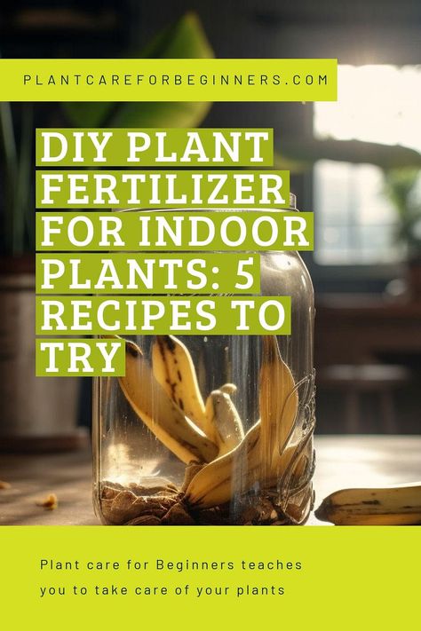 Air Plant Fertilizer Diy, House Plant Fertilizer Diy, Diy Fertilizer For Indoor Plants, Diy Plant Fertilizer Houseplant, Natural Fertilizer For Indoor Plants, Diy Plant Food Houseplant, Diy Plant Fertilizer, Liquid Fertilizer For Plants, Fertilizer For Indoor Plants