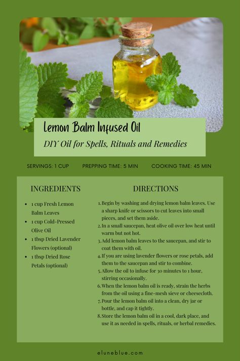 A recipe card featuring a recipe for making a lemon balm infused oil. Lemon Balm Magical Properties, Learning Medicine, Gardening Notebook, Lemon Balm Benefits, Lemon Balm Oil, Herbs For Protection, Herbal Medicine Cabinet, Healthy Cleanse, Wild Foraging