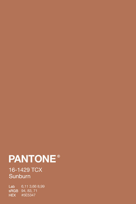 A warm terracotta color swatch labeled Pantone 16-1429 TCX Sunburn, evoking the rich tones of sun-drenched clay and cozy autumn evenings. This color is part of a fall-inspired Natural Habitat Palette, ideal for adding warmth and inviting depth to interior designs or seasonal projects. Eburneon Color, Terracotta Pantone, Autumn Pantone, Relax Pictures, Color Palette Terracotta, Clay Color Palette, Terracotta Palette, Pantone Autumn, Earthy Colour Palette