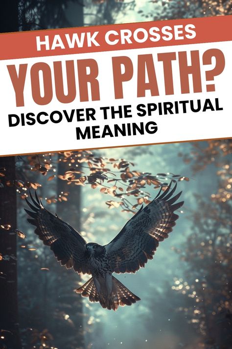 Hawk crossing path spiritual meaning. Seeing A Hawk Meaning, Hawk Spiritual Meaning, Hawk Meaning, Bird Symbolism, Sharp Shinned Hawk, Hawk Bird, Spiritual Eyes, Animal Symbolism, Your Spirit Animal