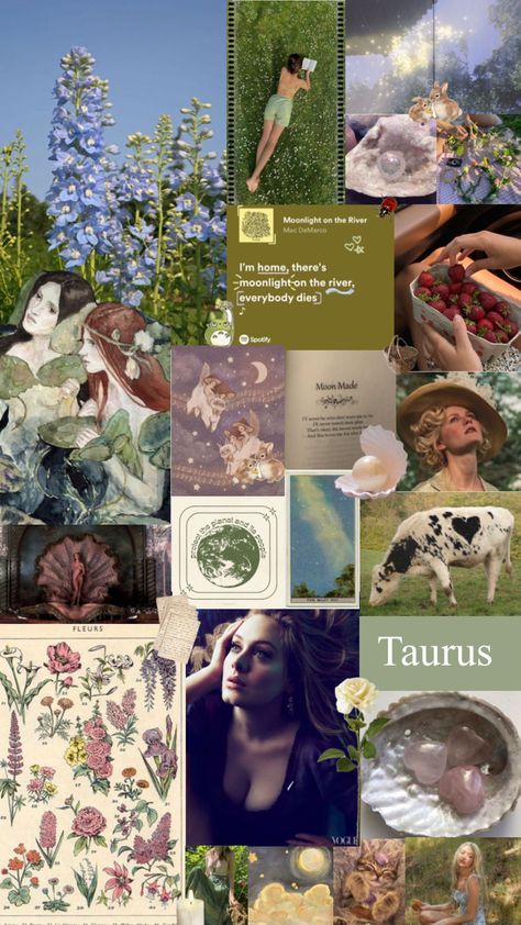 For my Taurus girlies 🌱♉️🤍 Venus Aesthetic, Venus In Aries, Aries Aesthetic, Houses In Japan, Taurus Zodiac Facts, Taurus Zodiac, Zodiac Facts, Creative Play, Colour Palette