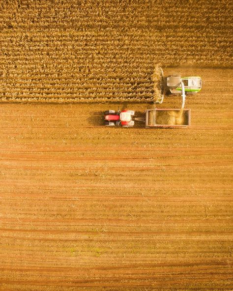 Agriculture Photography, Birdseye View, Crop Field, Indoor Farming, Environmental Portraits, Person Drawing, Farm Lifestyle, Mood Images, Drone Photos