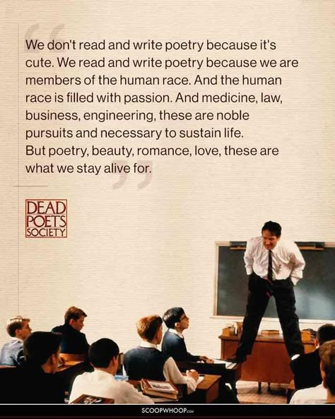 15 Inspiring Dead Poets Society Quotes | 15 Robin Williams 'Dead Poets Society' Dead Poets Society Quotes, Robin Williams Quotes, Sean Leonard, Now Quotes, Society Quotes, Poet Quotes, Dead Poets Society, Literature Quotes, Film Quotes