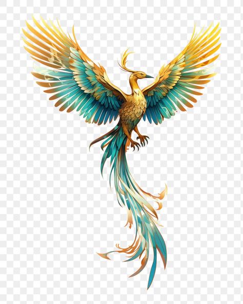 Phoenix Bird Images, Phoenix Dragon, Bird Png, Wing Art, Bird Images, Dragon Phoenix, Phoenix Bird, Wings Art, Bird Wings