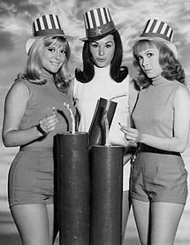 Sisters Tv Show, Lori Saunders, Meredith Macrae, Petticoat Junction, The Beverly Hillbillies, Popular Tv Series, Old Shows, Old Tv Shows, Vintage Tv