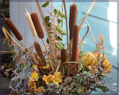 If you never sprayed wild cattails with your mother's AquaNet™ when you were a child, let us be the first fill you in on this fun floral craft and share an updated method for preserving them. The longer link to our project video is here. Join us for a walk in the country searching for perfect cattails. We used cattails to make a bouquet for our fireplace in a Colonial log cabin room. The link to the longer video is above. Also called bulrushes or reedmace, these tall catkins loo… Floral Arrangements With Cattails, Fall Arrangements With Cattails, How To Preserve Cattails, Log Cabin Room, Make A Bouquet, Borax Crystals, Planting Mums, Cabin Room, Making A Bouquet