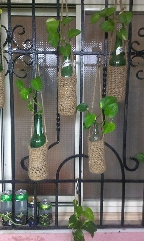 The image features a group of glass bottles containing green leaves. The bottles are likely arranged as a decorative indoor display with houseplants. Plants In Wine Bottles, Wine Bottle Planter, Beer Bottle Crafts, Tanaman Air, Small Balcony Garden, نباتات منزلية, Diy Plant Hanger, Money Plant, Bottle Garden