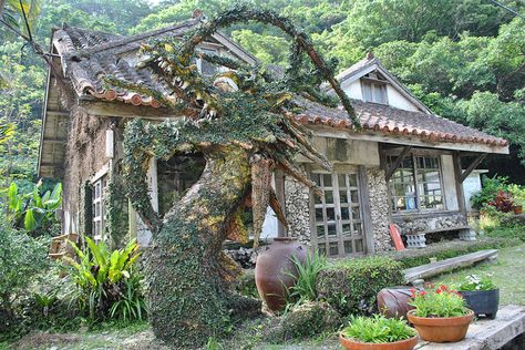 Okinawa pottery house by Okinawa Nature Photography, via Flickr Idyllic Cottage, Japanese Guide, Okinawa Island, Okinawa Japan Photography, Ryukyu Islands, Unusual Houses, Okinawa Aquarium, Japan Life, American Village Okinawa