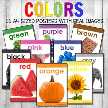 Toddler Materials – Pinay Homeschooler Shop Montessori Color, Color Posters, Classroom Wall Decor, Letter Of The Week, Color Sorting, Classroom Walls, Poster Colour, Learning Colors, Home School