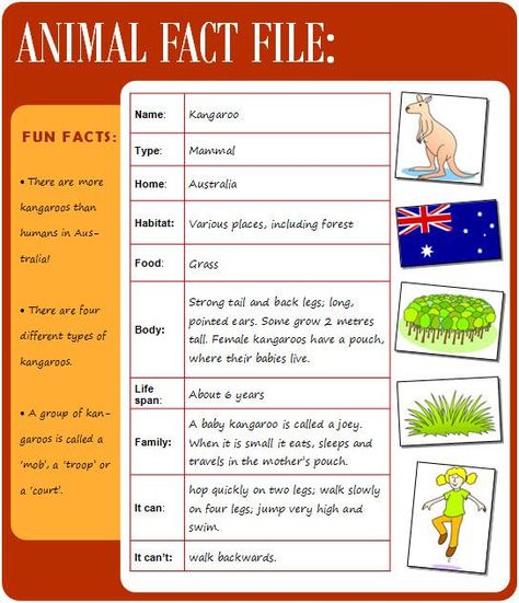 Animal fact file | LearnEnglish Kids | British Council File For School, Animal Fact File, Scottish Animals, Animal Pictures For Kids, Easy Animals, British Council, English Teaching, At Home Workout Plan, English Writing